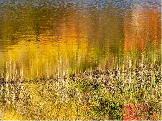 Reflections of autumn - Peter Pangbourne