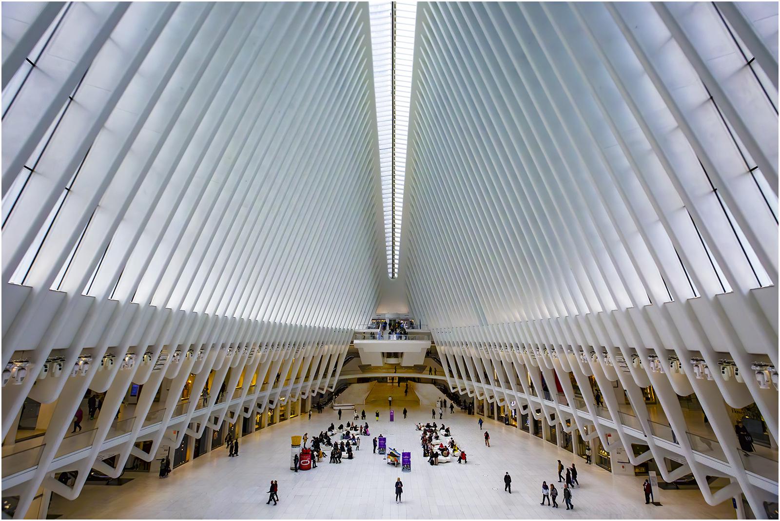 World Trade Centre - New York - David Egerton