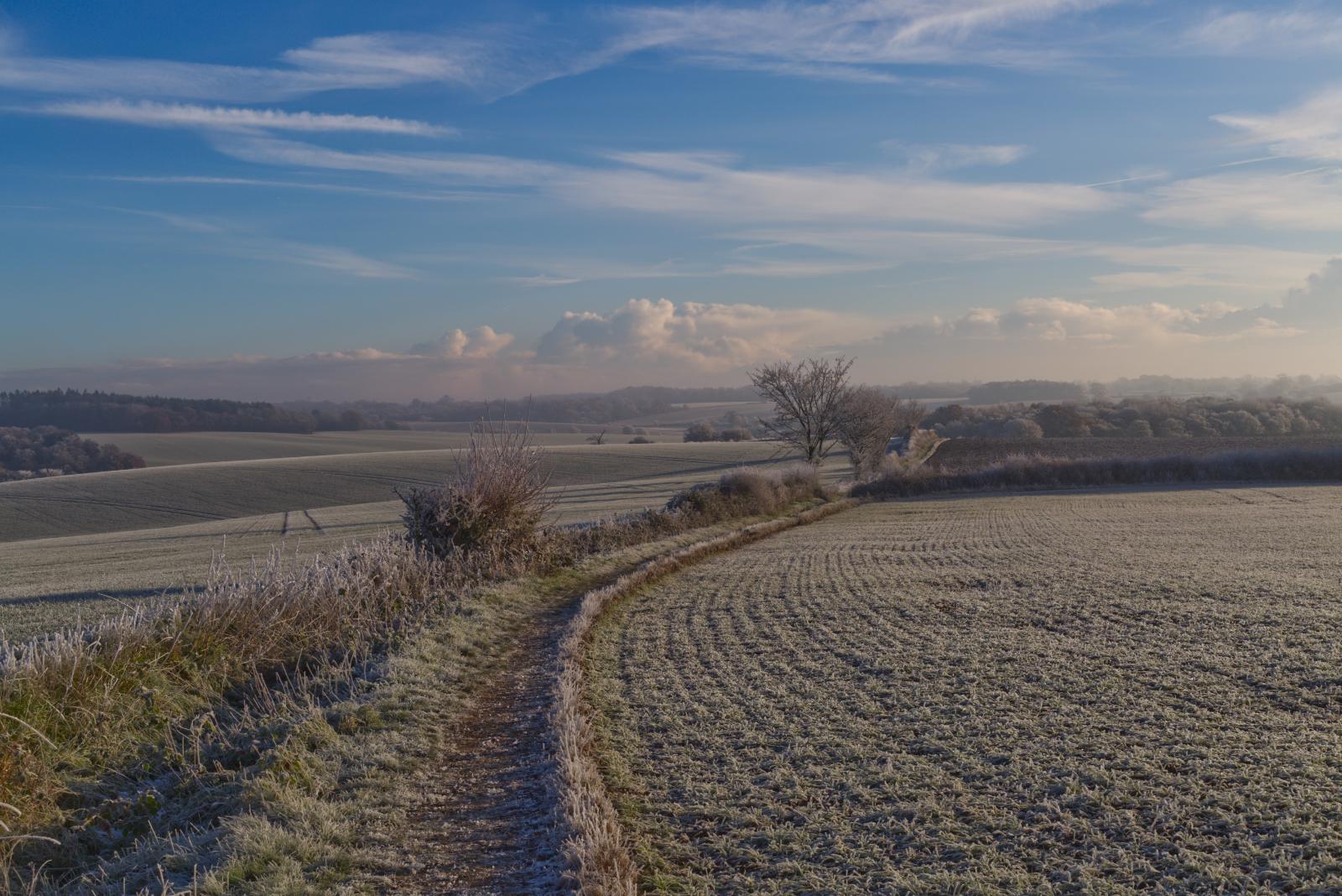 Frosty Morn - Richard Goldsmith