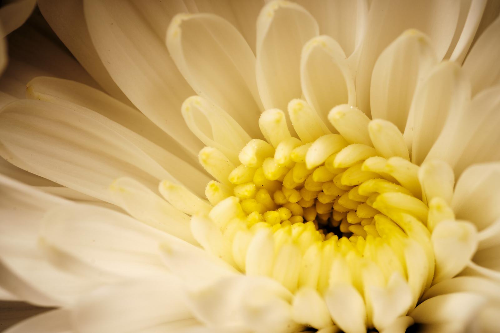 Joy and Awakening - Matt Biggin