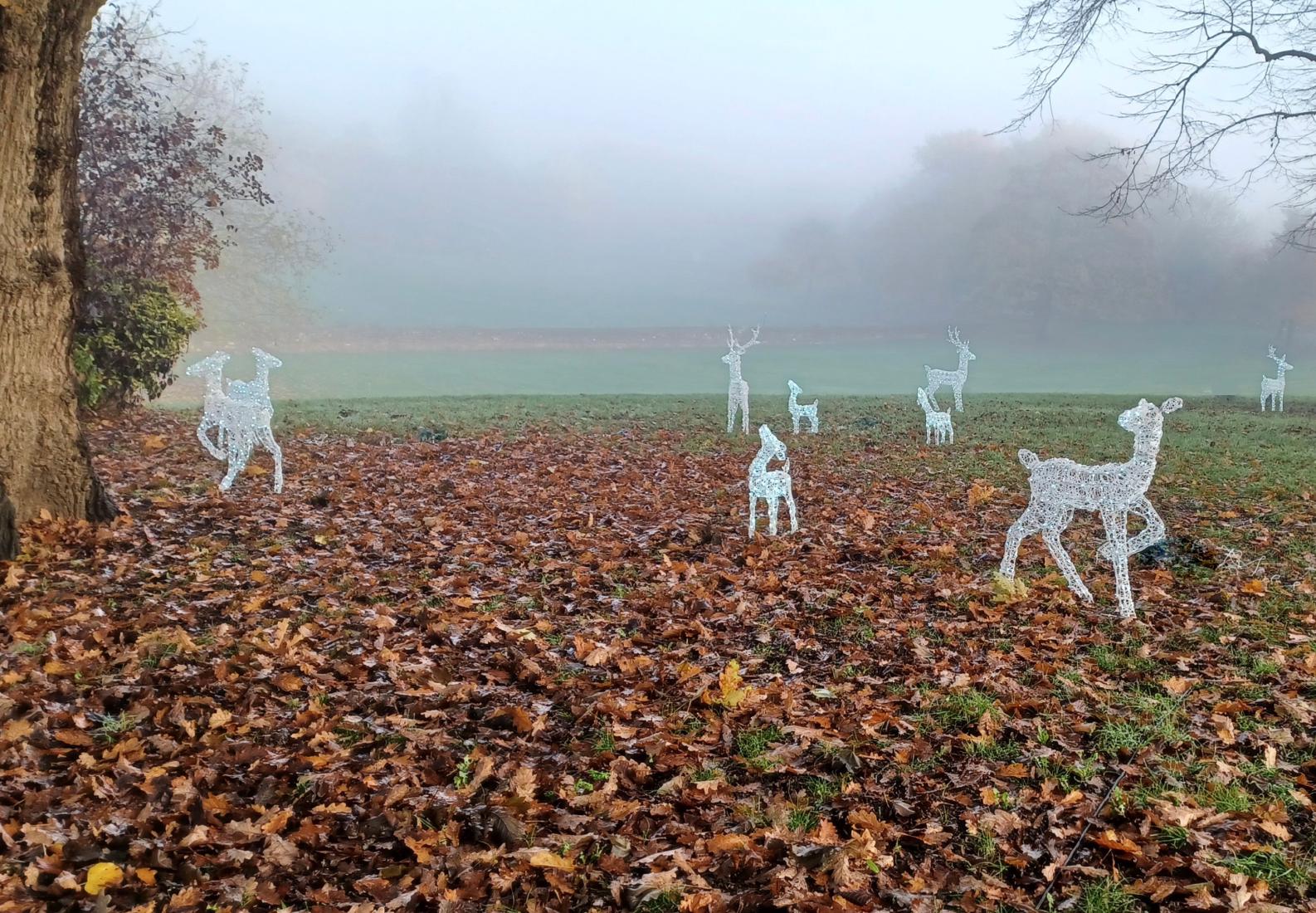 Oh Deer - Max Fox