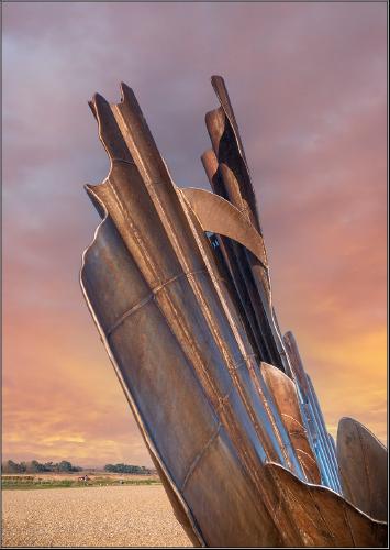 Reach for the Sky - Alison Pangbourne