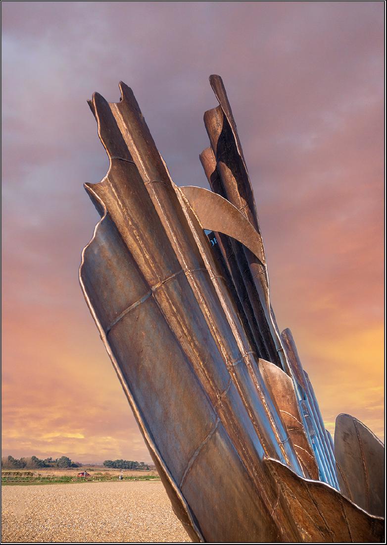 Reach for the Sky - Alison Pangbourne