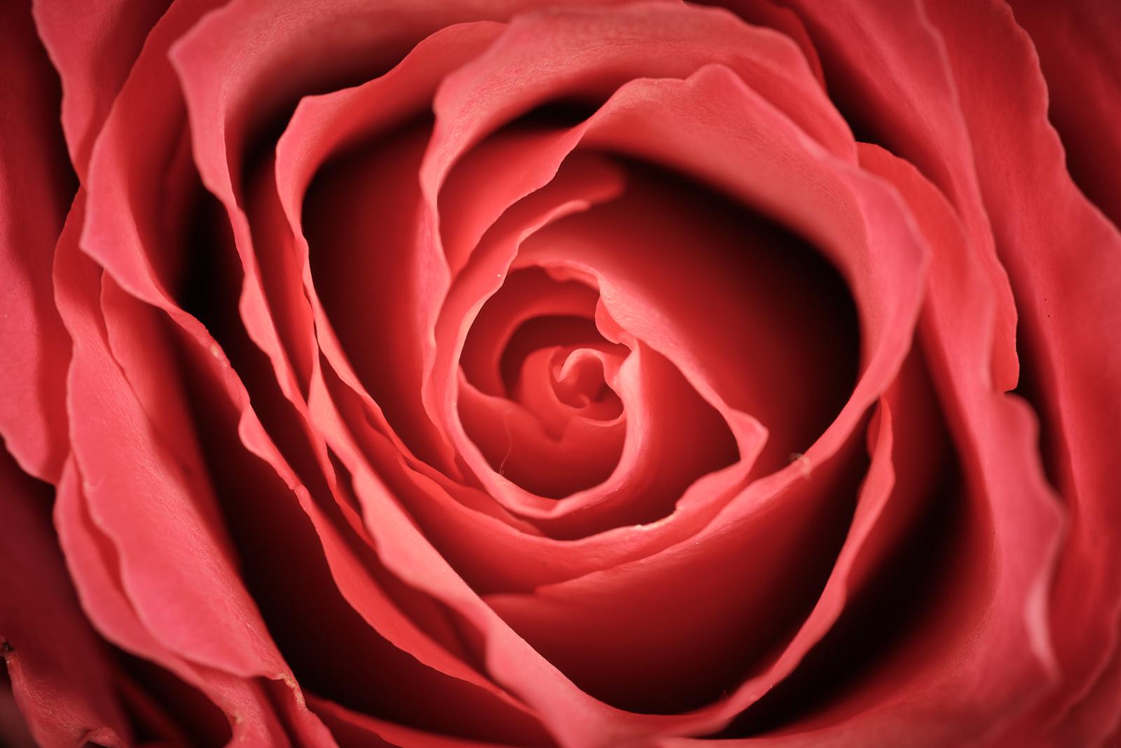 To those you love - Matt Biggin