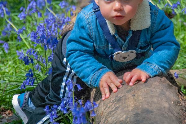 Noah - Peter Jones