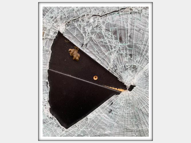 Shark Attack - Roy Essery