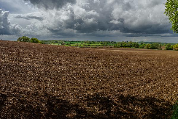 Spring Shower on it's way - David Cross