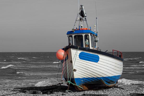 Beached - David Cross