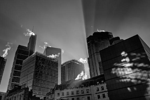 High Rise Radiance - Matt Biggin