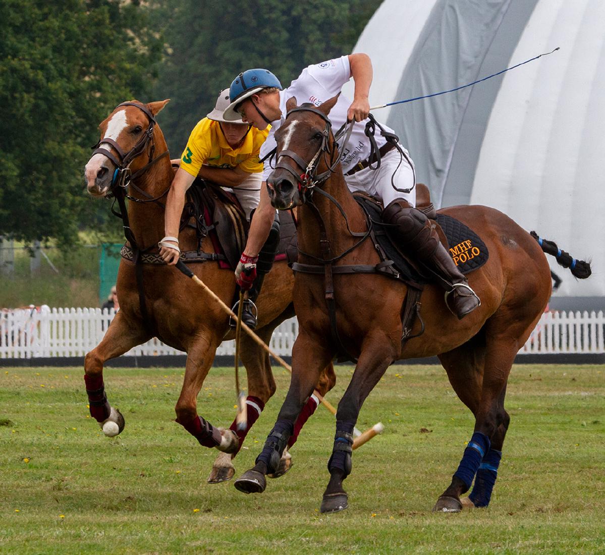 Polo match at Highlands Park - Lynn Rix