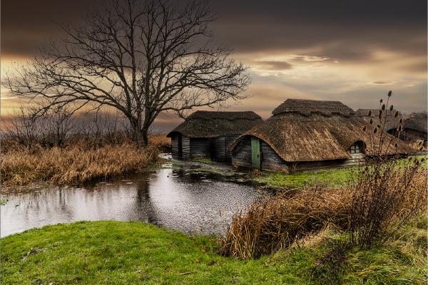 Tthatched boathouses at Hickling broad - Peter Pangbourne