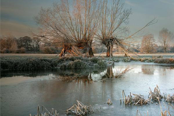 Winter Light - Colin Brett