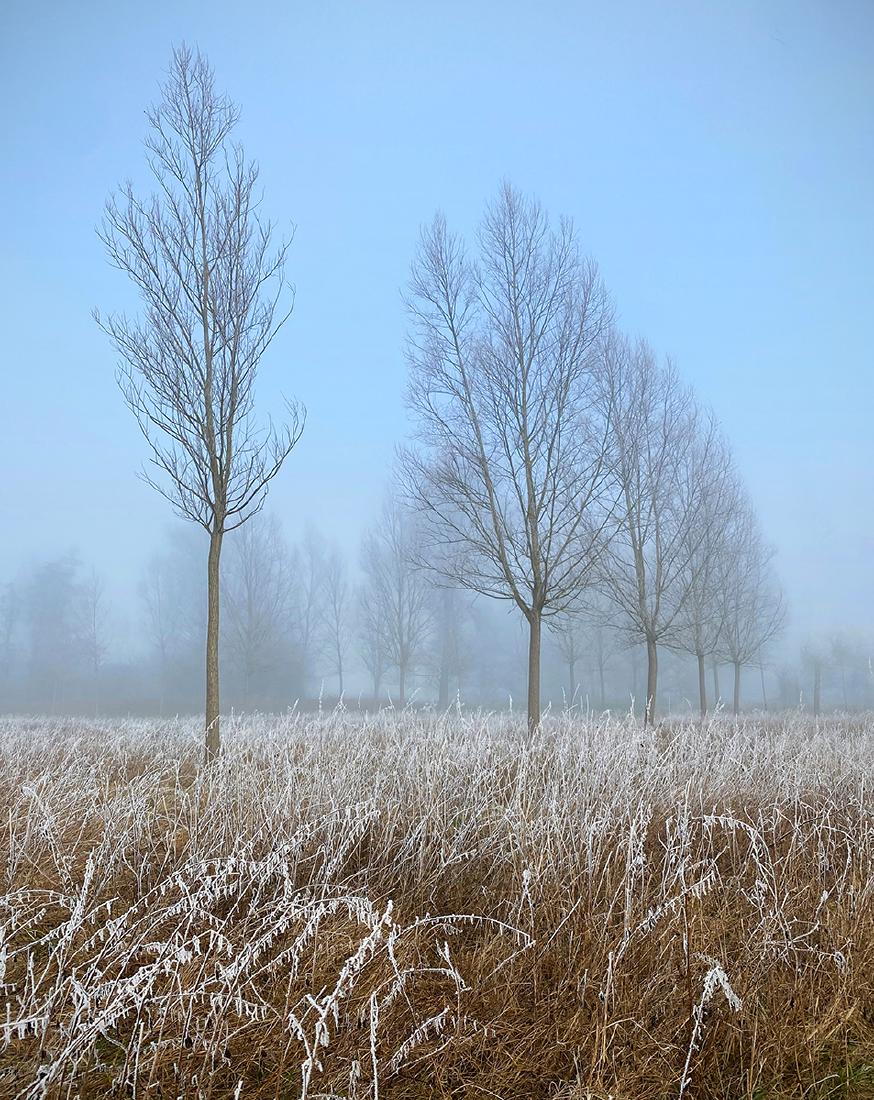Frosty Start - Roy Essery