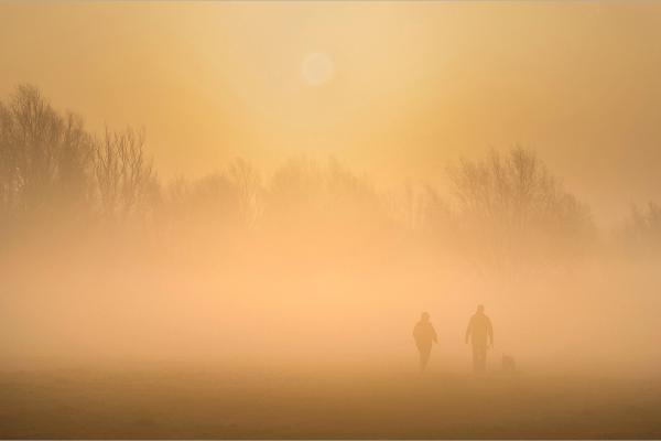Golden Hour Walk - Colin Brett