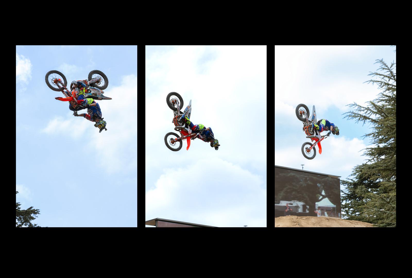 Flying High - Peter Freeman