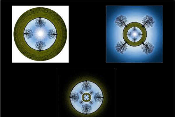Tree Portals - Jeff Scott