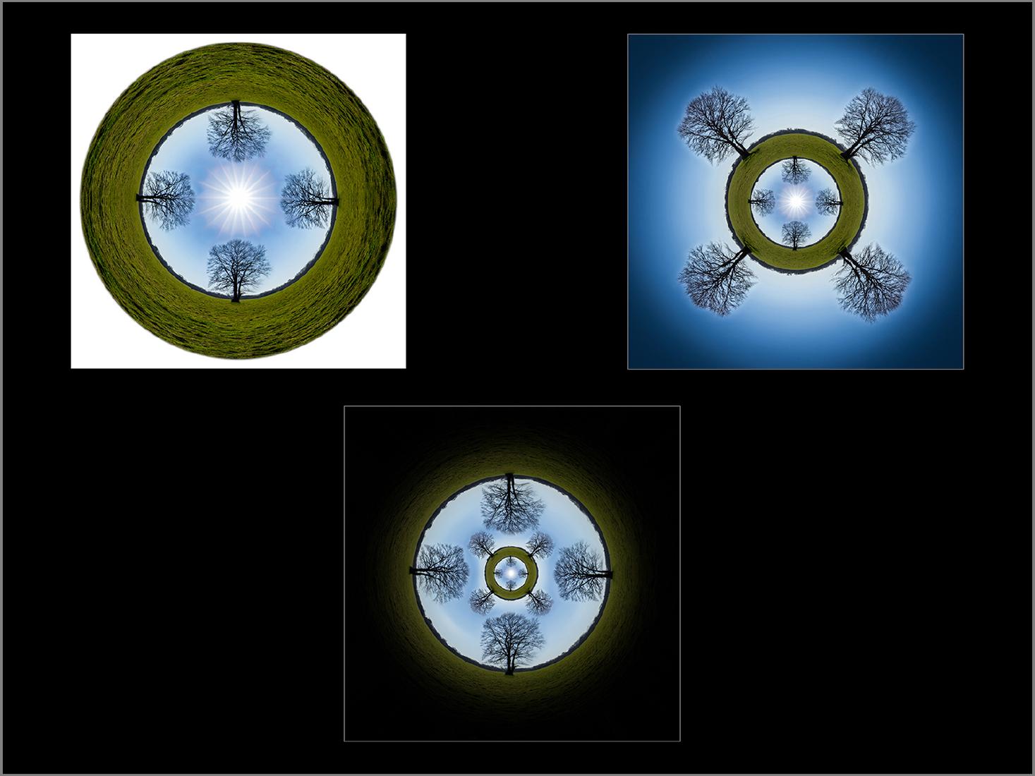 Tree Portals - Jeff Scott