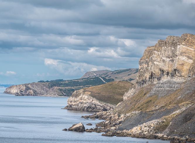 Gadd cliff and the Dorset coast path - Alison Pangbourne