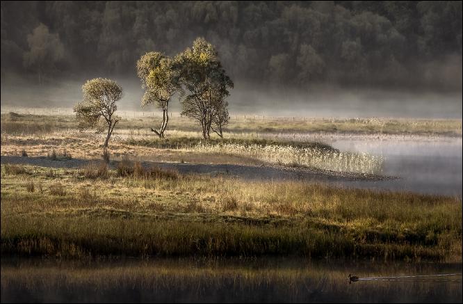 Llyn Dinas Morning - Roy Essery