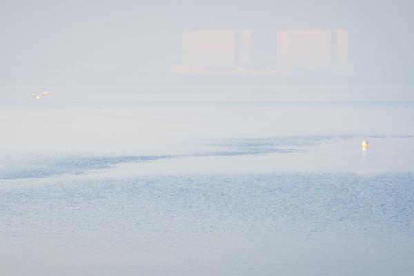 Misty Calm - Martin Heathcote
