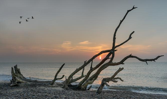 Sunrise At Benacre Beach - Colin Brett