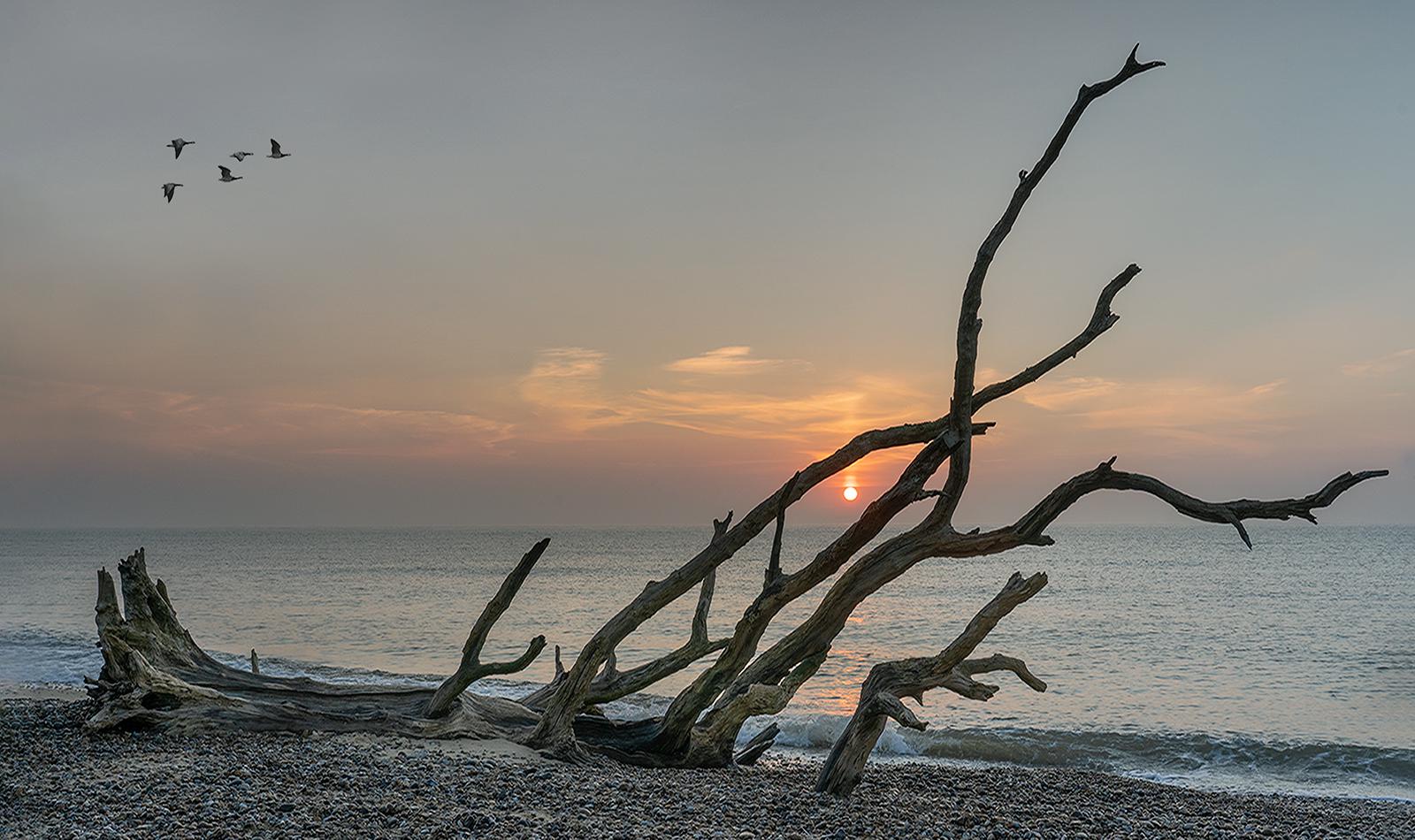 Sunrise At Benacre Beach - Colin Brett