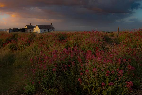 The bungalow on the beach - Shaun Hykel
