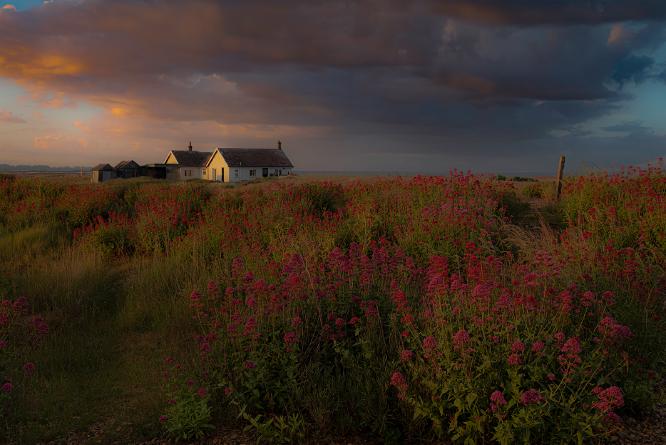 The bungalow on the beach - Shaun Hykel