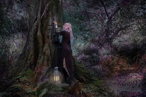 Entry to the Fairy Realm - Chrissie Alexander