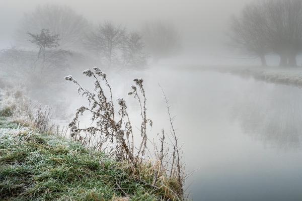 Misty Stour - Colin Brett