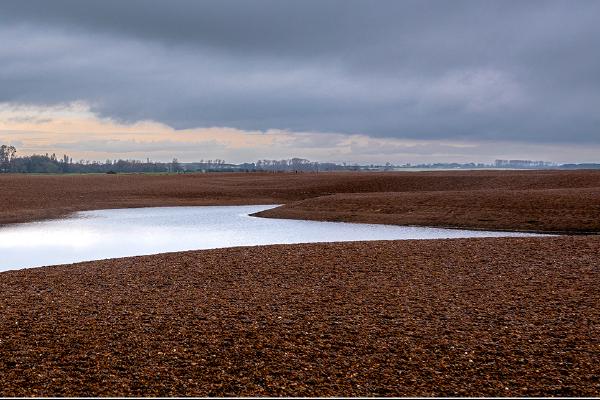 Shingle Street - Alison Pangbourne