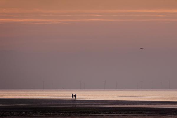 Watching the Dawn - Martin Heathcote