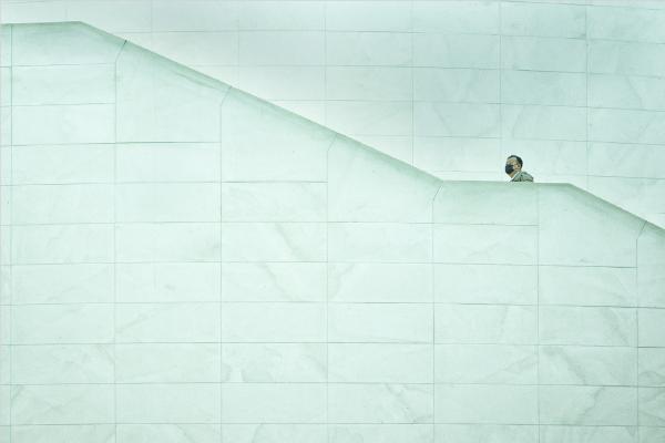 Ascent - Steve Ball