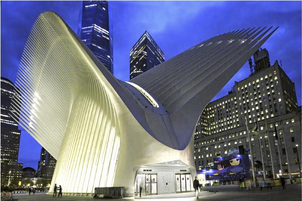 Dove of Peace - World Trade Centre - David Egerton
