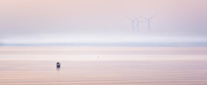 Mist, Still Waters and Still Turbines - Martin Heathcote
