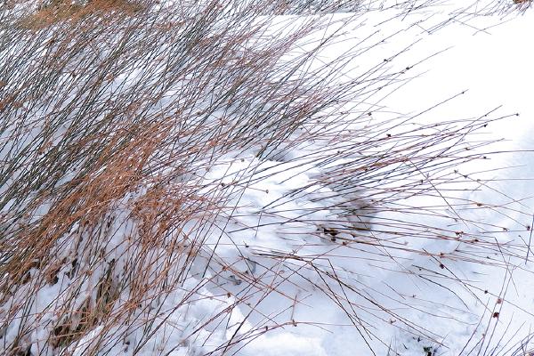 Winter drift - Shaun Hykel