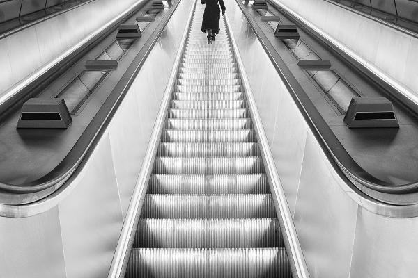 Elizabeth Line - Steve Ball