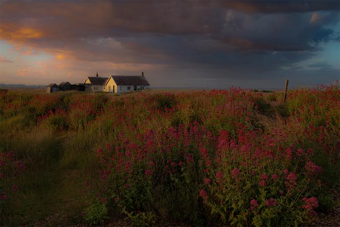 The bungalow on the beach - Shaun Hykel