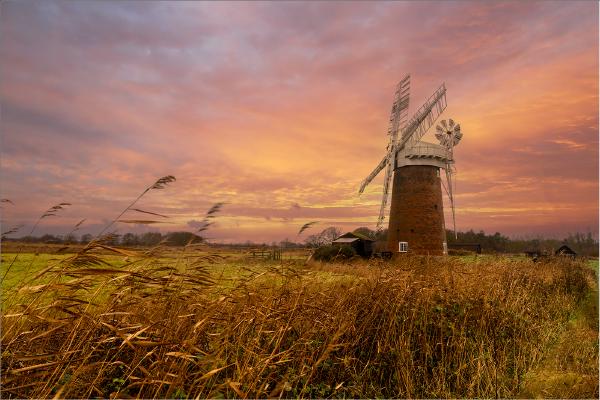 The wind pump at Horsey - Peter Pangbourne