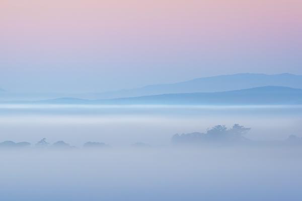 Tuscan Dawn - Martin Heathcote