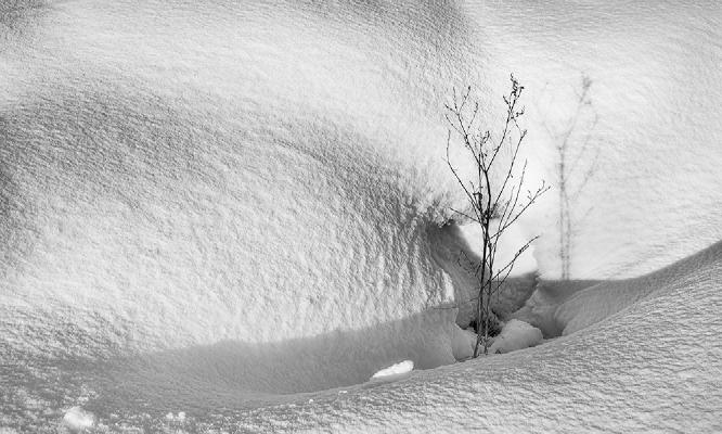 Snow Drift - Colin Brett