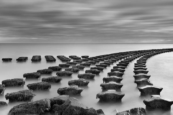 The Point - Colin Brett