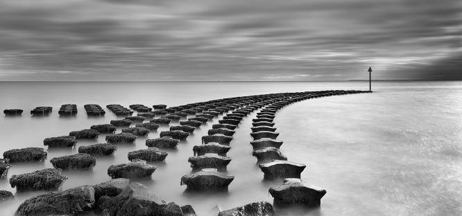 The Point - Colin Brett