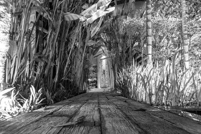 Hidden door - Peter Freeman