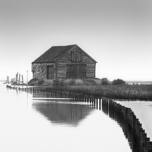 High tide spring - Shaun Hykel