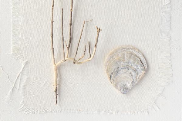 Beachcombing Treasures (1) - Chrissie Hart