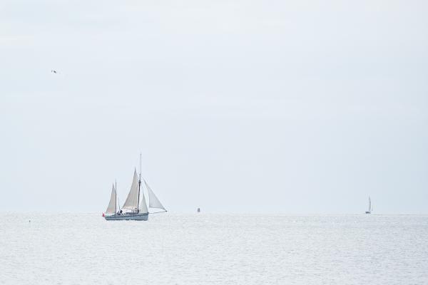 Boats of Harwich (1) - Roy Essery