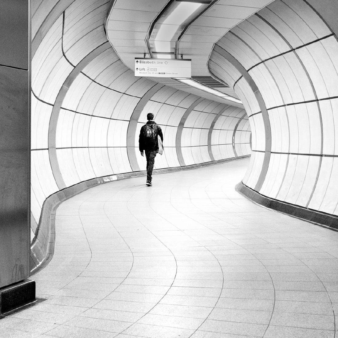 Elizabeth Line (1) - Steve Ball