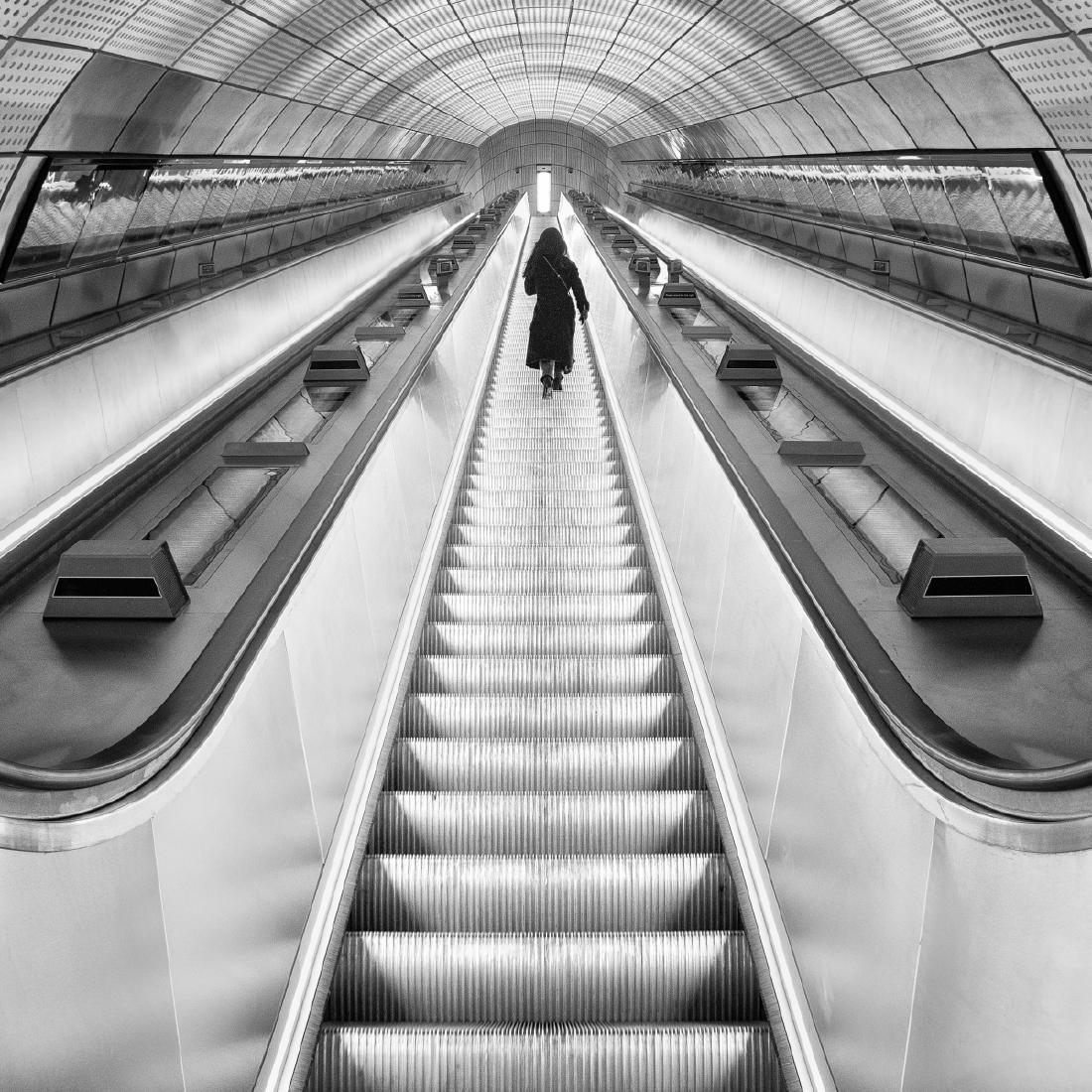 Elizabeth Line (2) - Steve Ball