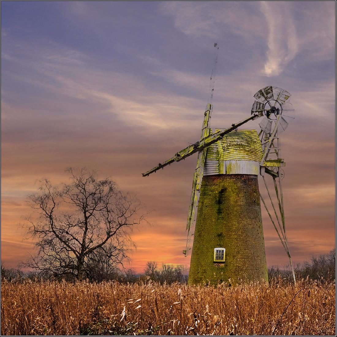 Sails in the reeds (3) - Peter Pangbourne